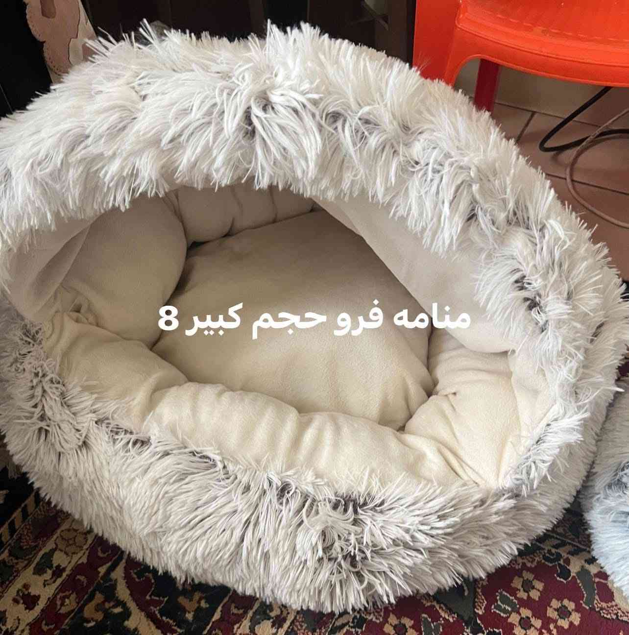 مستلزمات قطط 🐈🐈‍⬛🐾🐾


**إذا كنت صاحب هذا الإعلان وتريد حذفه لأي سبب، رجاءا أرسل رسالة إلى الدعم الفني**