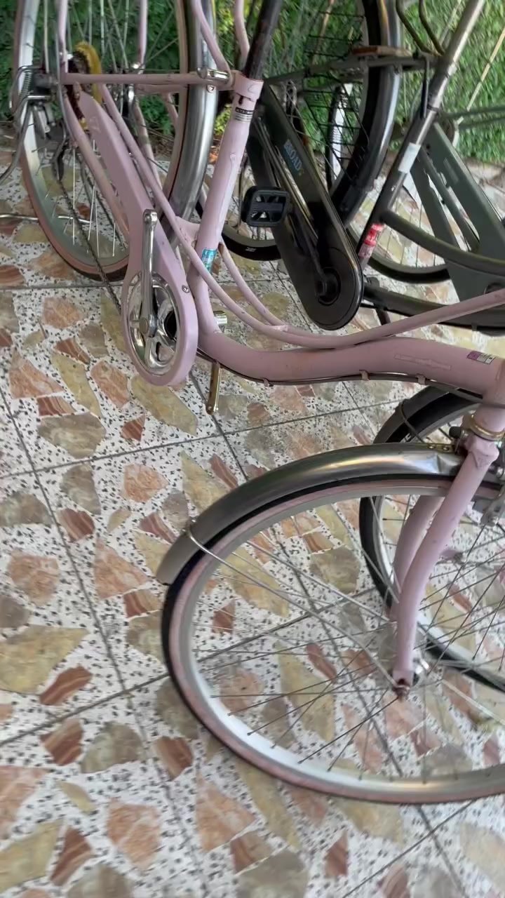 سلام عليكم شباب باسكلات بناتي ٢٦ باله جديد حساس وكير كله جديد نضافه ١٠٠/١٠٠ مكاني حي الجهاد  ١٢٠ قفل رقم  ***********
