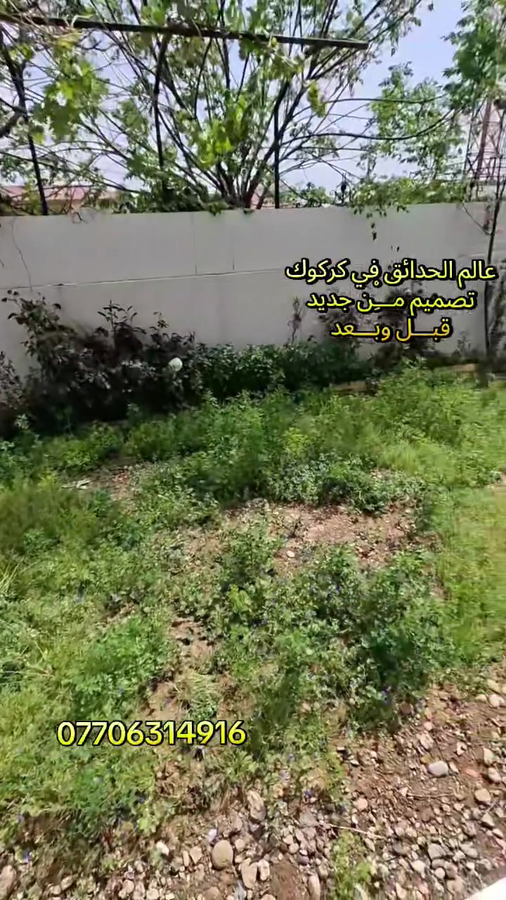 اجعل حديقة منزلك تزهر بجمال طبيعي مع كادر عمل متكامل احترافي في التصاميم والزراعه. 
🦋مستعدون 🦋لـترتيب🐦 الحدائق المنزلية 🏝️🏘️
🟢 تصميم وتنفيذ ديكورات الحدائق العامة والمنزلية 🌺🌻
🟢 تنضيف. وقص ثيل وتقليم وترتيب كافه الحدائق. 
🟢 يعني حديقتك بأمان ويانا. كادر مختص (إدامة عامة) 🌺
🟢 تنفيذ منظومات الري مرشات + تقطير 🌺
🟢 مكافحة الحشرات والأدغال بأجود أنواع المبيدات  🪴🌲
🟢متوفر كادر. ادامه شهريه لحدائق المنزليه. 
🟢معالجه صفار  الثيل والنباتات بأجود انواع المنشطات. 🏝️💐
 
كرسته وعمل ...وقت قياسي يوم واحد فقط
وتستلم حديقه جاهزه من كافة النواحي
للتواصل. ***********
#كركوك #حدقجي_كركوك
