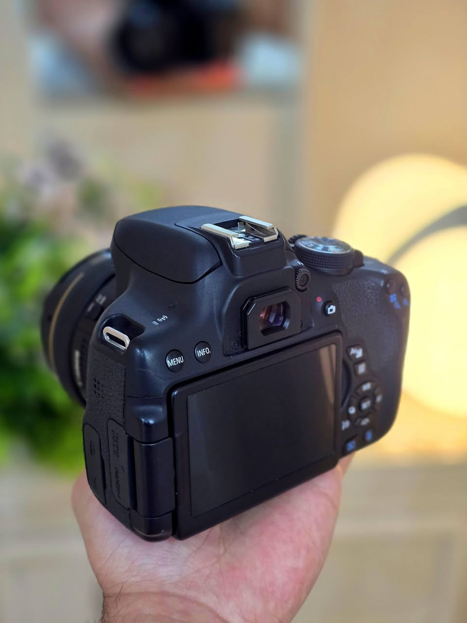 كانون 750D مع عدسه 50m 1.4
العدسه فتحة 1.4 اخوان اقوى عدسة للبورتريه عزلها عالمي ، نظافة كدامك 98% كاميرا راقية ودقتها قوية ، 

، ملحقاتها موجودة بالصور 

مكاني نجف توصيل موجود سعرها 525 وبي مجال قليل


**إذا كنت صاحب هذا الإعلان وتريد حذفه لأي سبب، رجاءا أرسل رسالة إلى الدعم الفني**