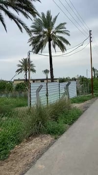 بغداد المدائن • ٣٥٠٠م • طابو