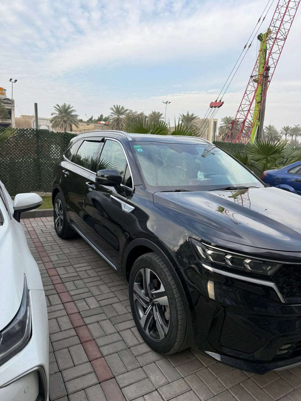 السلام عليكم

سورنتو 2022 امريكي برستيج فول VIP

ثلاثة أنظمة قيادة ( بانزين &هايبرد & Plug-in ) 

السيارة مواصفاتها معروفه برستيج VIP 

السيارة حادثها فقط قبغ جنطة مبدل نفس اللون 

السيارة بدون صبغ و بدون ايرباك 

رقم بغداد الانكليزي الجديد ماشية 59 الف 

السعر 270 و بيها مجال حك الجية

السيارة جديده بمعنى الكلمه تجي و تشوف 

الاتصال 

*********** حلة, بابل
