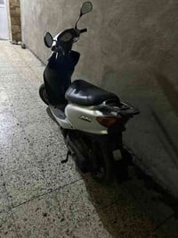 دراجه عصفوريه فحل للبيع مال رمبه كفاله السعر ٦٠٠وبيهه مجال بسيط جدا مك...