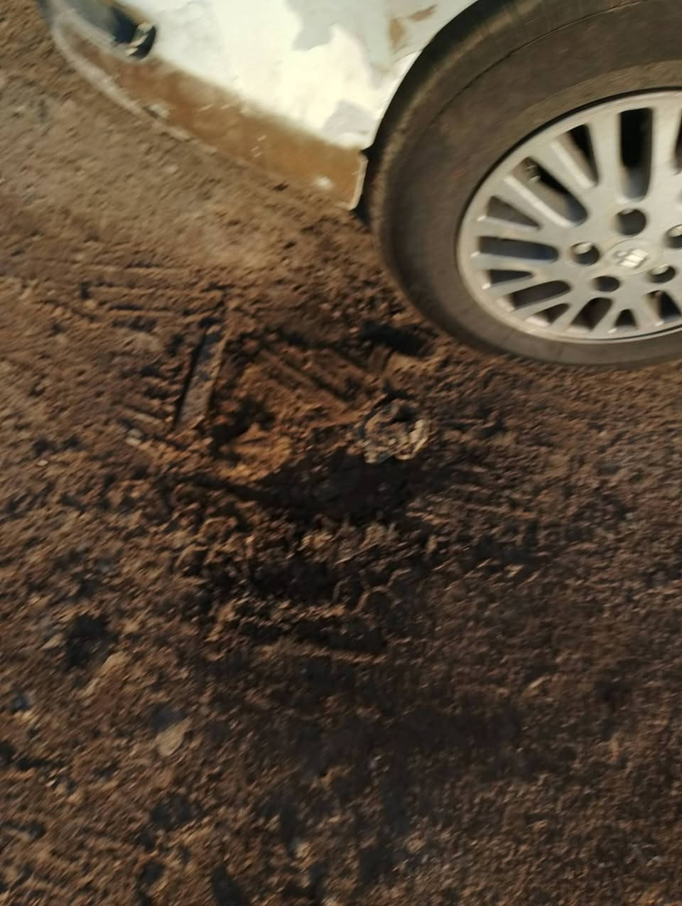 سلام عليكم
للبيع كرسته نفخ
محرك وكير بطه نظيفات شرط
رقم بصره راعيهه بلبصره وكاله عامه بسمي 
العنوان واسط قضاء الحي 
***********
