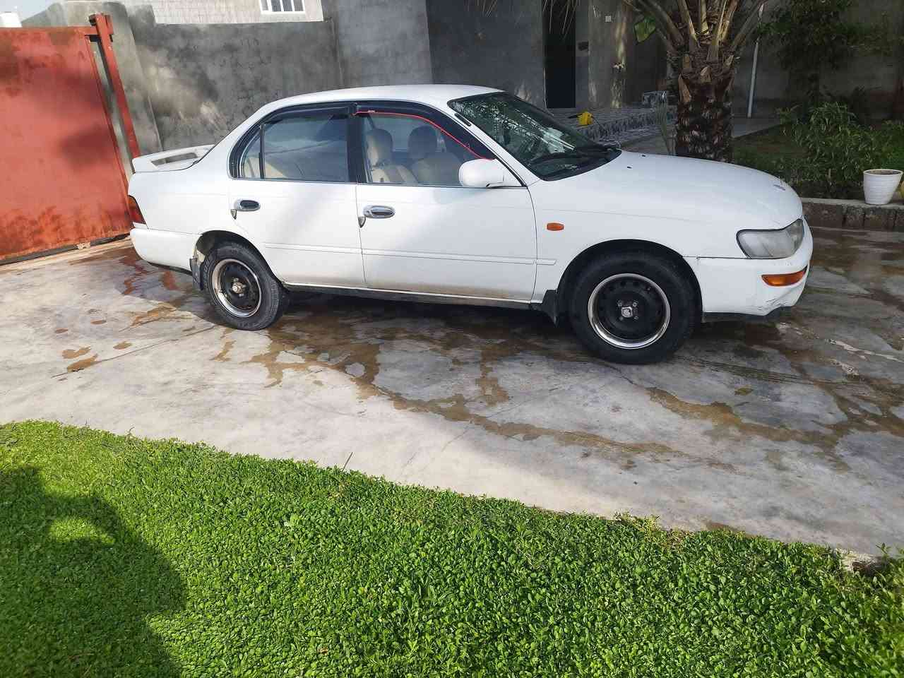 السلام عليكم
كورلا موديل 1992
للبيع الإستفسار على هذه الرقم
***********
