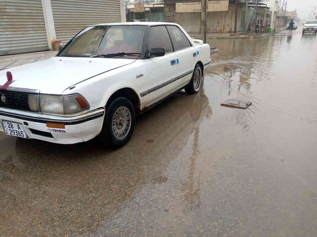 السلام عليكم للبيع هارتوب موديل 91 رقم نجف اكليزي سنويه جديده  2028 شرط تحويل ثاني يوم محرك وكير لشرط سياره مكفوله كفاله عامه من ضربه وصبق بلاد نظيفه كلش جاهزه من كل شيء السعر 33 وبيها مجال *********** مكان سماوه الخضر المركز
