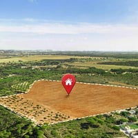 دوانم للبيع  السلام عليكم  يتوفر اكثر [50دونم] للبيع في منطقة الغزالية...