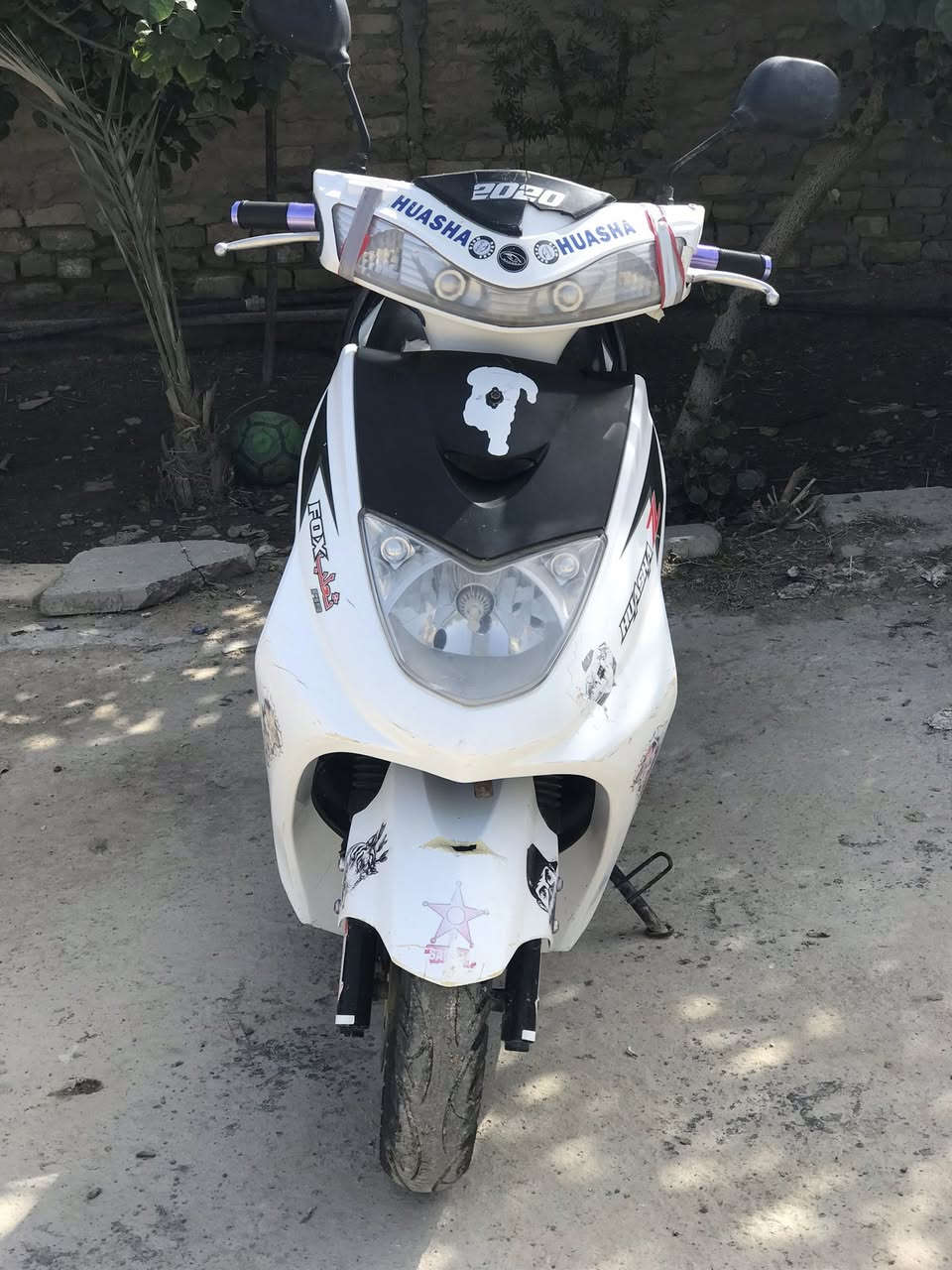 السلام عليكم درجه ماكس ثعلب كامله ***********
