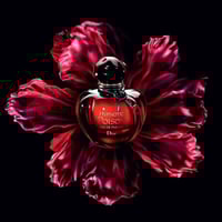 عطر الأنوثة • فانيلا لوز • دافي ثابت