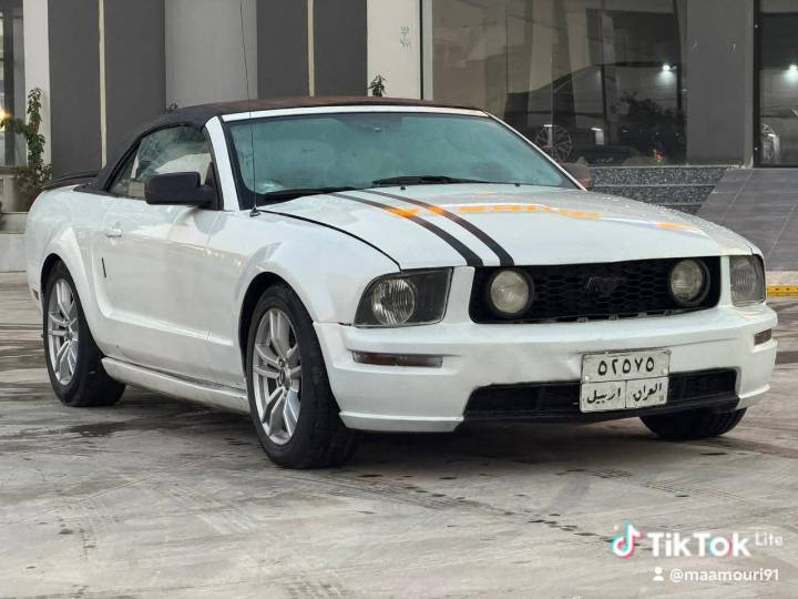 موستنك للبيع او مراوس حسب القناعه 2009 كشف محرك 4000 رقم اربيل باسمي رقم جديد هزه جديده مصبوغه حزام جماليه... كشفها يرادله تبديل بس الجكات مالته كير اوتو... 
اريد مراوس بسياره 4 ابواب بيجو لو سمند لو غير شي مرتب بس مو لون اصفر نضيفات اتكون.... السعر 62 ورقه مكان السياره بغداد الغزاليه ***********
