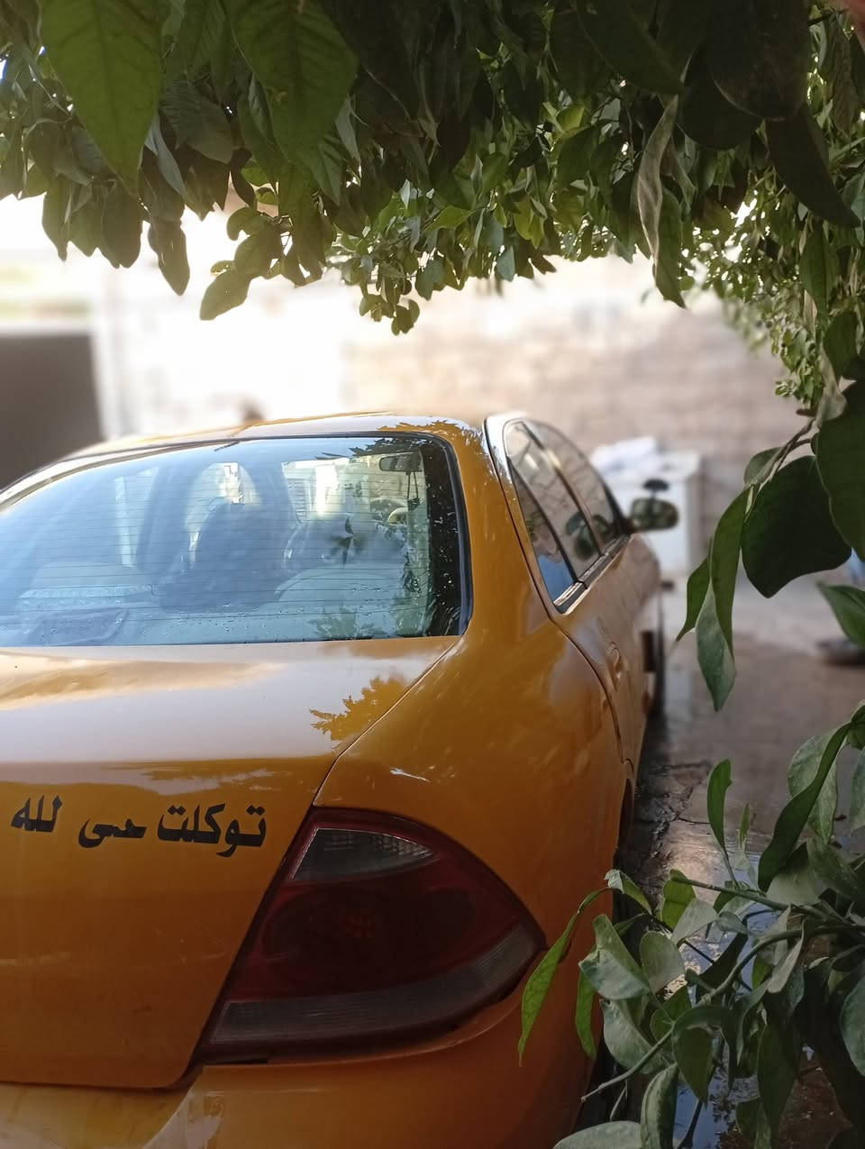 السلام عليكم 
سني سام سونگ للبيع موديل 2009 
 رقم بغداد گير ومحرك گرنتي  تبريد ثلج 
سياره جاهزه  تريد تحويل تريد وكاله سعر مناسب 
  للاستفسار والسعر اتصل وتدلل ‏
‪***********‬‏
‏‪***********‬‏

