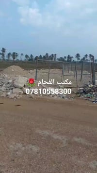 دونم • طابو زراعي • علوة الفحل