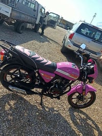 دايون ماكس • 2023 • واسط الاحرار