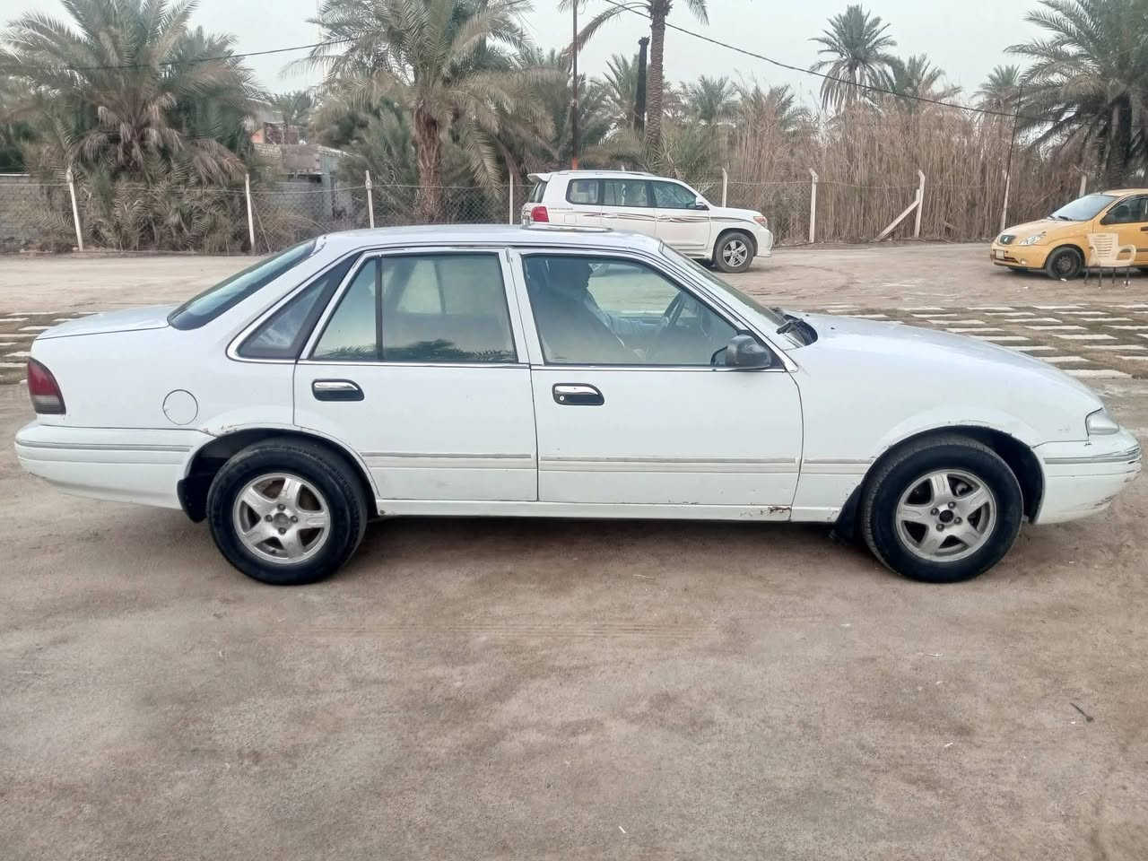 فراشه ٩٦ مكينه وكير اتوماتيك مكفولات مشط ستيرن وباور جدد مكفولات حداديه جديده كهربائيات شغاله سياره مكفولة من الضربه صبغ مكانات ابيع حزام رقم كربلاء الماني غرفة جديده تبريد عاطل ابيع السعر 34 وبيه مجال المكان كربلاء رقم الهاتف ***********
