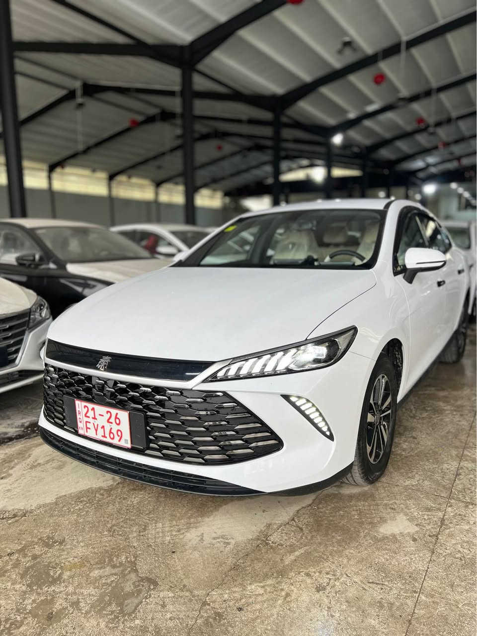 سەرەتا بە ناوی خوای گەورە 
***********

BYD Q PLUS 2025 ویل کرۆم 
2100 km 65 litr 🔥📦
٧٥ شەوی تیا ماوە ٦٠٠کم رۆشتوە کامل کاملنجوانکاری بۆ کراوە گاعی kqd  و شەمسیو  لیدی نەشرەی دەروە و کەڤەری مۆبایل و درعی شاشە و بەرگی سەر سوکان و گاعی ناو سنوق .... 
چاوەرێی چین لەوە هەرزانتر نابیت 
لە سلیمانیم  
نرخ /١١٨ 
*********** السليمانية, العراق
