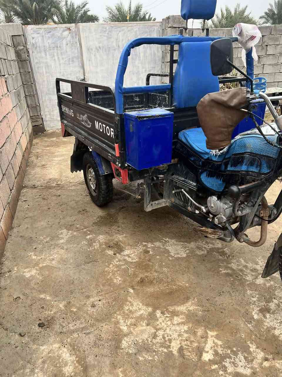 متاح ستوته لبيع فحل موديل 20وراق كامل مكمل لي ريده اني بخدمته ***********
