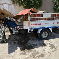 ستوته • صقر • فحل