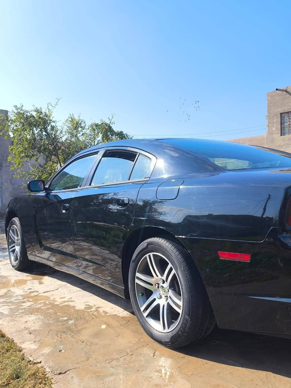 سلام عليكم 
جارجر كندي 2014
مكفووله!! عدا البنيد مبدل!!! 
رقم بغداد انكليزي 
سياره جديده ما ناقصه شي بس الاكسن 
مكاني ميسان قلعه صالح 
السعر 146 وبيه مجال قليل 
***********
تريد السياره اتصل وخادم 
خاص ما متواجد
