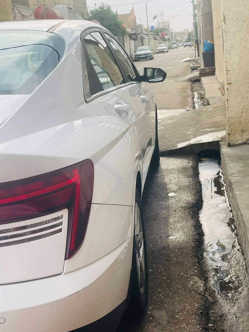 اكسنت خليجي ٢٤ بيهه شبر بارد بالبنيد فقط والباقي مكفول كفاله عامه محرك 1500دبل نوزل رقم بغداد موجوده بالبصره فول مواصفات مطلوبه اقصاط راعيهه كلش خوش ولد السعر 140 الي اتصيرله يدلل هذا رقمي ***********
