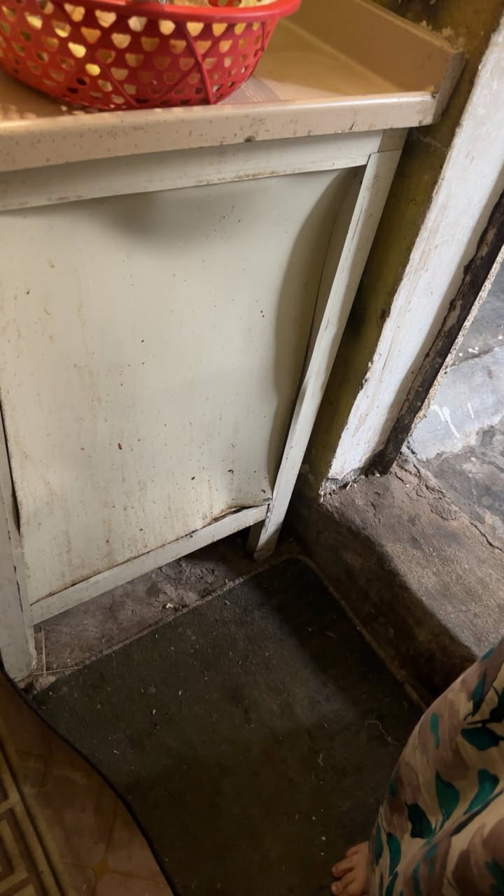 سلام عليكم يوجد كاونتر للبيع سنك مرمر بي ضرر بسيط يتعدل ماعندي احد يسوي سعر 150وبي مجال


**إذا كنت صاحب هذا الإعلان وتريد حذفه لأي سبب، رجاءا أرسل رسالة إلى الدعم الفني**