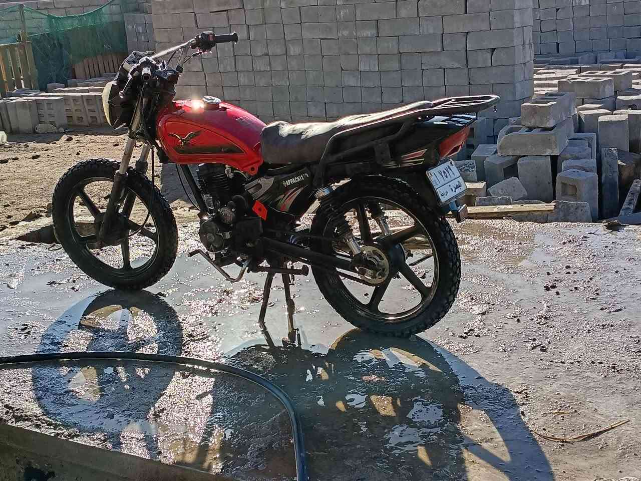 للبيع السعر 550 رقم الهاتف واتساب ***********
دراجه رقم و سنويه تحويل ثاني يوم
