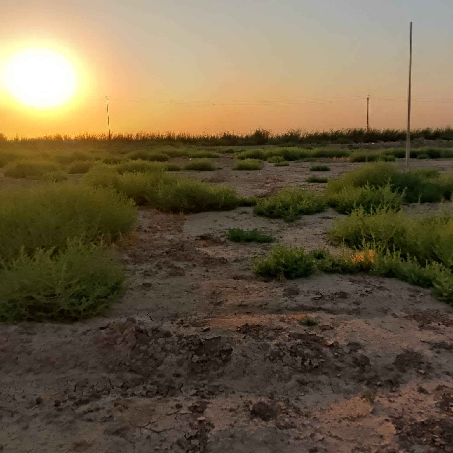 دونم البيع عبور الجسر الفرنسي مقابيل الشيخ حربي كماء واضح بل تصوير ***********
