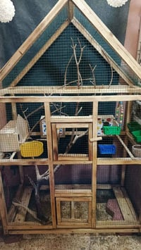 ب ٦٠ الف بلاش  قفص  مرتب شغل نجار درجه اولى جديد حيل جكمجه   077492453...