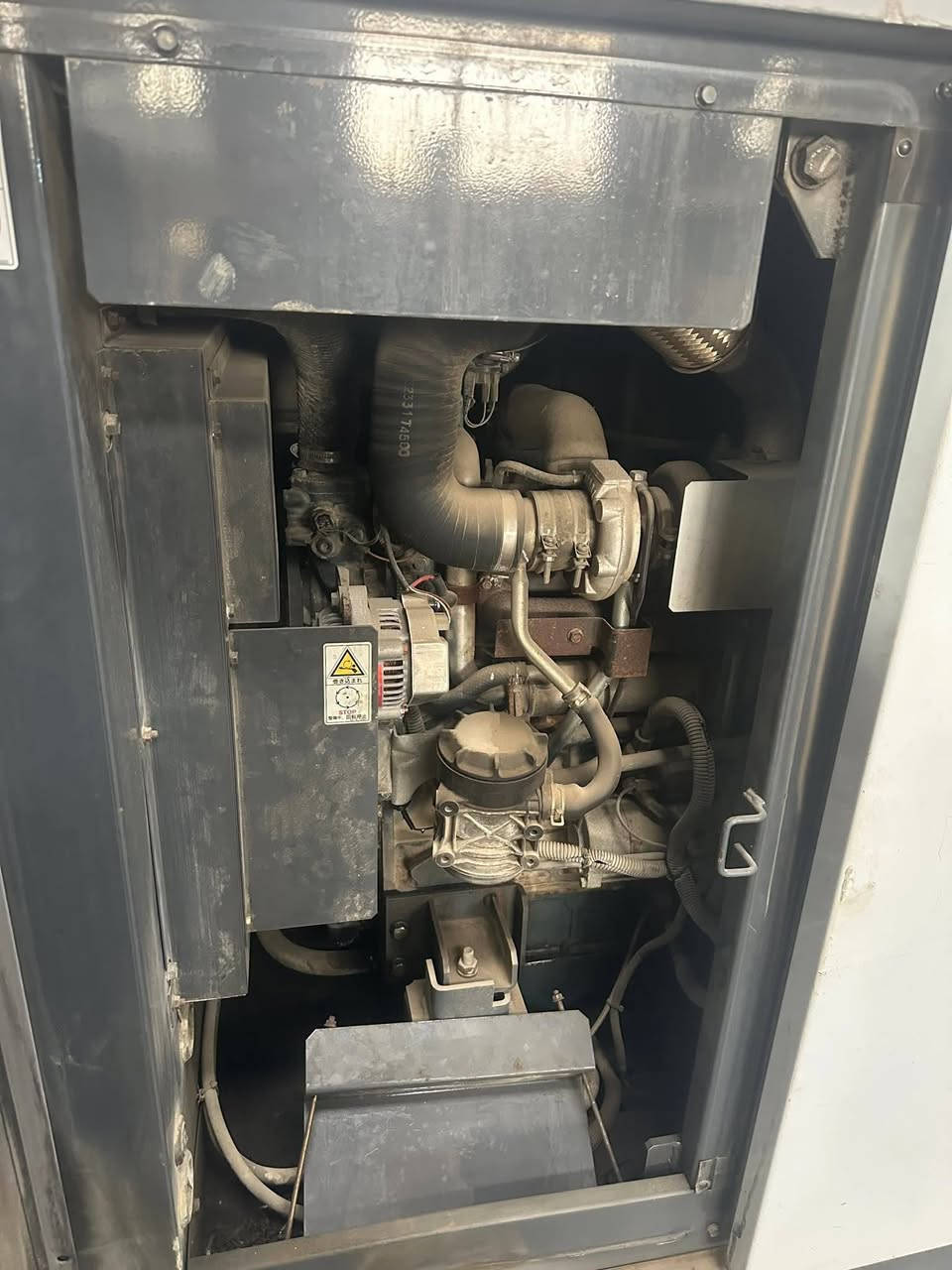 السلام عليكم مواليد للبيع اربعه بستم ***********
