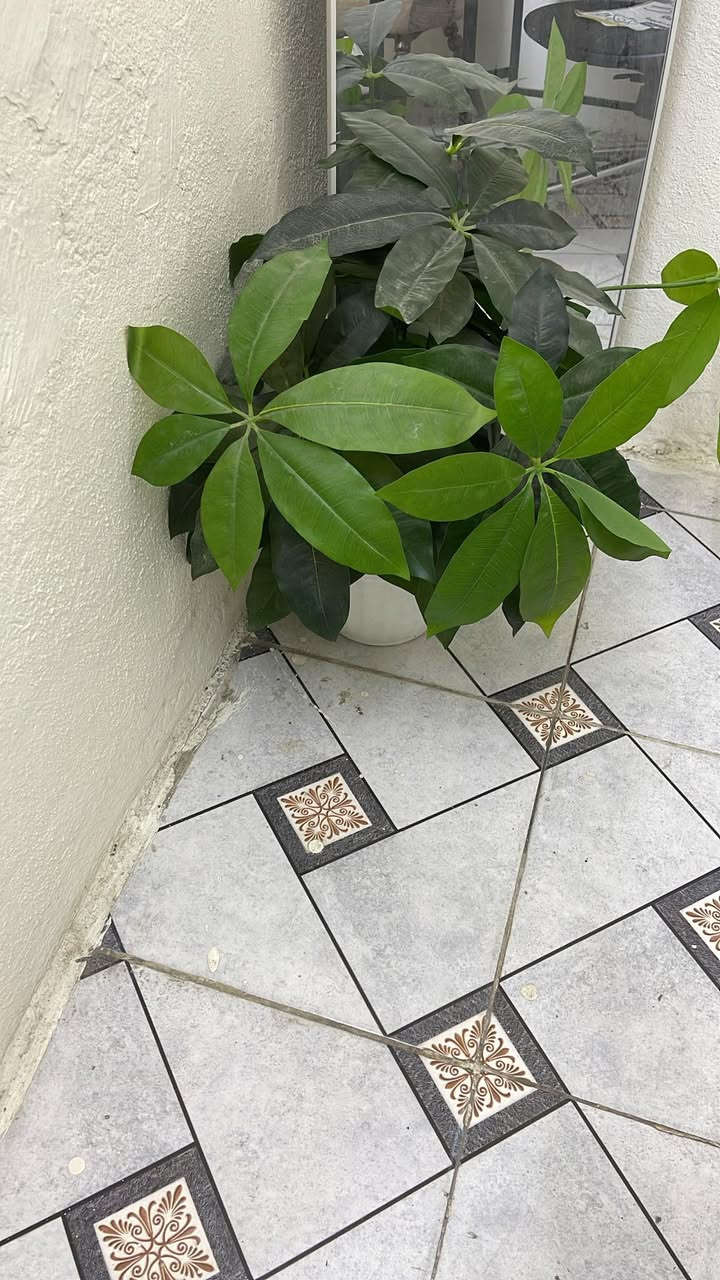 سبلت ماركه جنرل استعماله شهر واحد سعره ٤٥٠ صليخ ال400
مكنسة غسل زوالي جديده العنوان الشعب 
الزرع الوحده ب٥  إذا ٣ ب١٥  صليخ ال400
والاسعار بيهن مجال التواصل ع هذا الرقم ***********
بنكات عدد 3 جديدات
