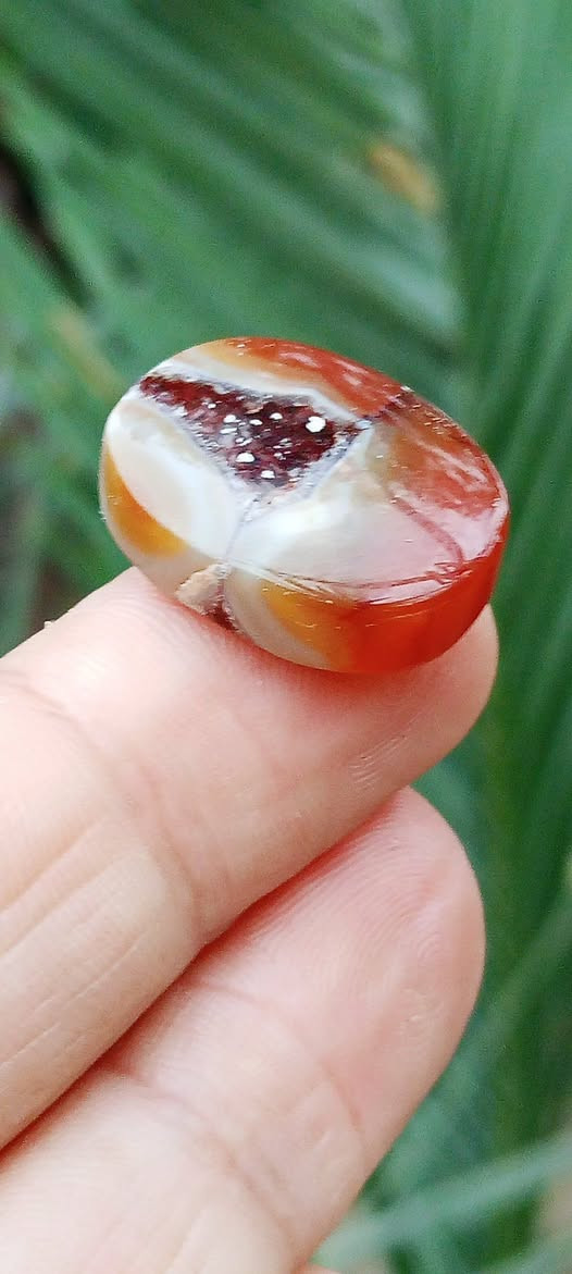 خامات لا تتكرر مرتين يماني الانسي الغير مجمر فقط جرخ وتلميع وطلبيه خاصه احبتي الكريم التواصل خاص


**إذا كنت صاحب هذا الإعلان وتريد حذفه لأي سبب، رجاءا أرسل رسالة إلى الدعم الفني**