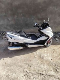 فورزه • صفر • دايون