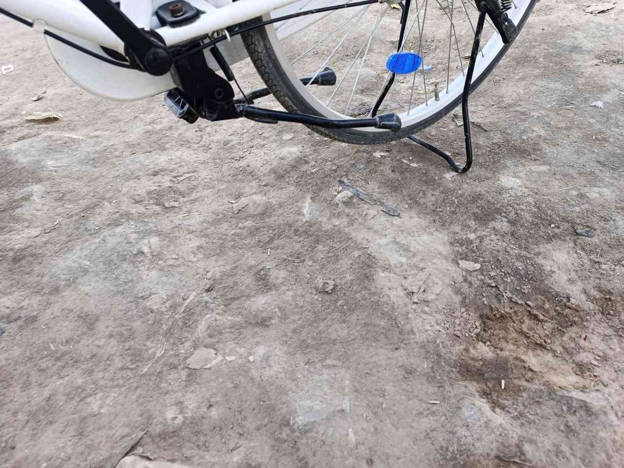 سلام عليكم باسكل للبيع سعر 175وابيه مجال بصيط *********** مكان الدوانيه السنيه
