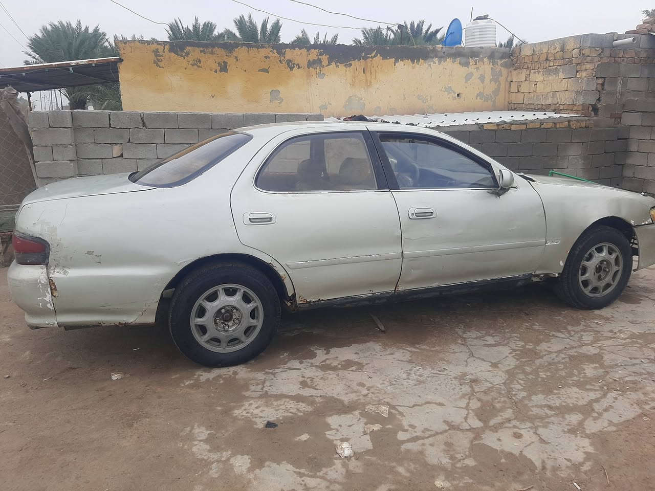 كرستا ناعمه او حلوه مال جناي على كد افلوسك سعرها 26 محرك ونجي مجاول رياضي اتكفلك كص نقل جثه عيب شرعي اصوليات تحويلك ثلث تشهر تاخذ تحويل مني مكانها ذي قار جاهزة كهربائيات انسى العطل خير من الله 
***********
