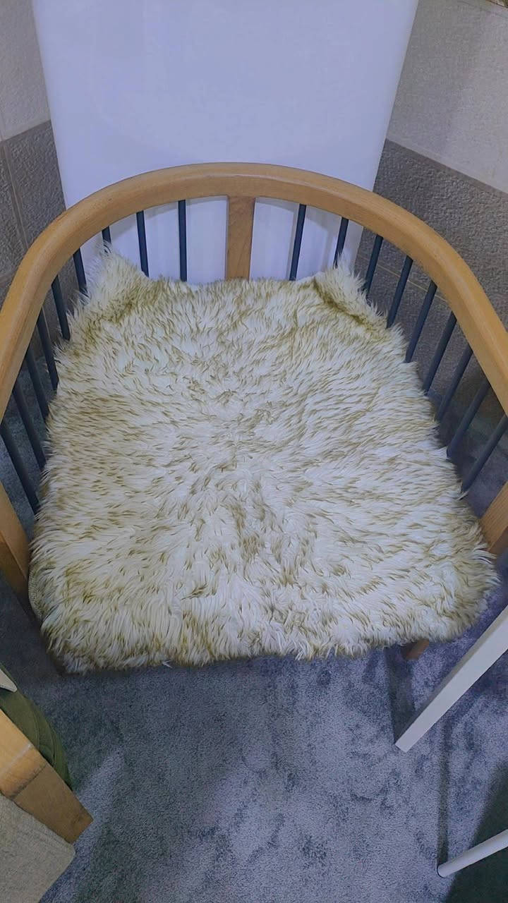 مفارش تخم 8 مقاعد فرو اخو الجديد مع موكيت
مع مخدة جرباية قطعه واحد نفرين للبيع كلهن ب55 الف 
سعرهن نهائي صايرات عليه اكثر بهواية 
*********** واتساب
