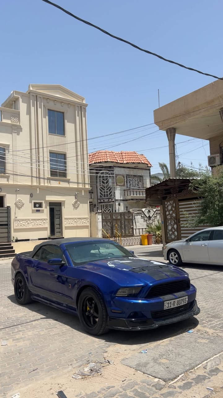 موستنك GT للبيع
السلام عليكم موستنك جيتي كشف بريميوم فول 
رقم بغداد انكليزي باسم ولد تحويل ثاني يوم
محرك GEN 2 حشوه روش 
فول هوائيات
شوته اير ايد 2
بلكات NGK
نوزل شلبي 350
فيول بمب ريسنك
هدرز
كزوز تفصال كامل
اكس بايب 3 ونص
دبات MBRP اصلي
شبابيك روش فوك وجوا
دفيوزر شلبي 
لحيه RTR
لدات سموك
كشف كامل جديد بي شك بسيط بنيد مكشر صبغه وجاملغ مطعوج طعجه خفيفه
موديل 2011 محدث كامل تحديث اصلي 2014
مكاني البصره القبله
رقمي ***********
السعر : 110 بيها مجال البصرة, العراق
