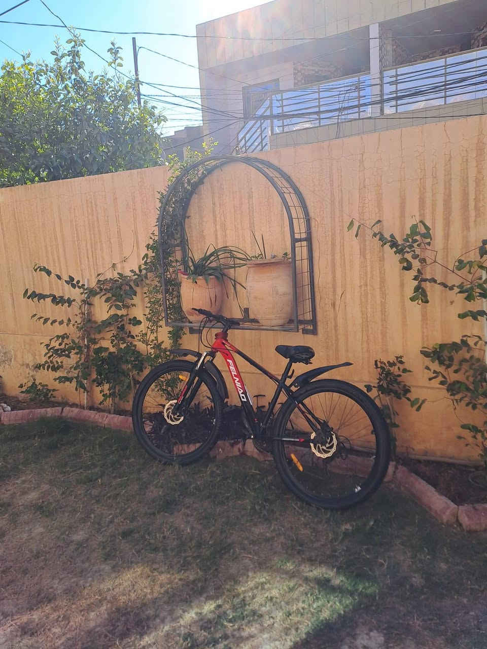 السلام عليكم بايسكل +إقفال بايسك موديل 2024 السعر 140وبي مجال للستفسار ***********
