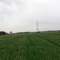 كاع للبيع 29 دونم زراعي متوفر كافت الخدمات كهرباء مياه تبعد عن الشارع ...