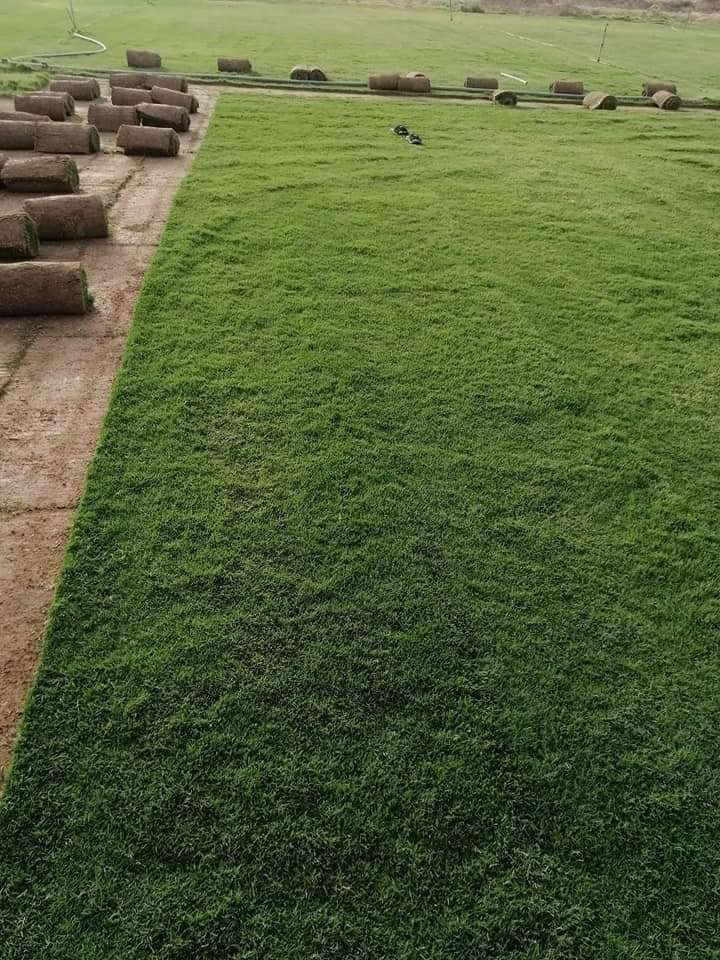 السلام عليكم مع بدء موسم زراعه الثيل وترتيب الحدائق وفرنا لكم جميع أنواع الثيل
ثيل هندي⛳️
ثيل امريكي ⛳️
ثيل ايطالي ورقي ⛳️
ثيل انكليزي جلد الغزال 
ثيل فرنسي ابو الورده 
مستعدين لعمل المنازل �
المتنزهات 🌱
الملاعب الرياضيه 
الدوائر الحكومية 
 🚜توصيل كافة جميع  محافظات العراق🚜
للاستفسار الاتصال 👆👆📲

***********
***********
***********
