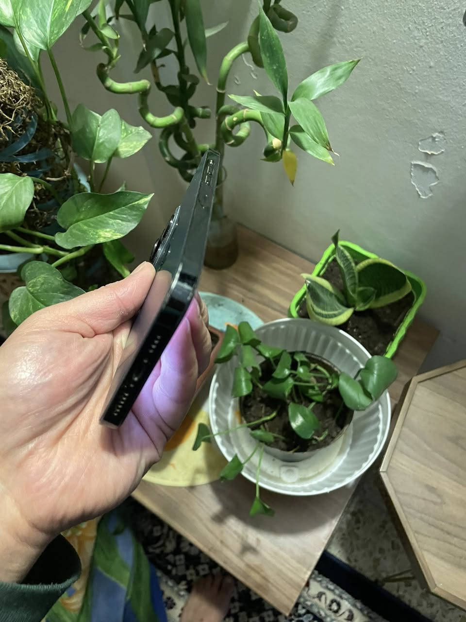 12 برو ماكس شرق اوسط 256 بطاريه 75 بلتحديث
اخر اصدار تحديث فقط مبدل شاشه بيها صفار مناثر ولا مبين ولضهر كدامك فيس ايدي شغال مكفول من اي عطل 315 وبيه مجال حك جيه بغداد الدوره 

***********
