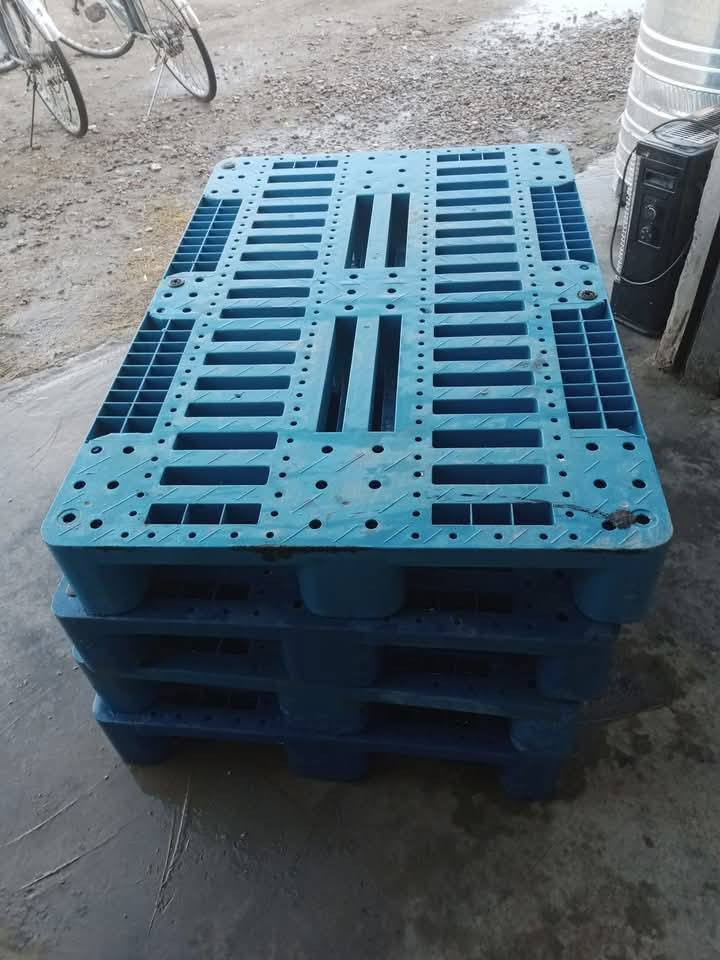 زيارتكم شرف لنا
يتوفر 

سكيبات للبيع حمولة السكيبة الوحده طن ونص 
مستخدم مرة وحده فقط .. 

كميات خير من الله 

تفاصيل السكيبة 
طول ..  120 سم 
عرض ..  80 سم 
سمك ..  15 سم 
حمولة طن ونص حقيقي 

العنوان. المقدادية. الكيلوات.  كيلو 13.  الشارع العام 

تواصل . 
📞*********** واتساب 
📞*********** واتساب
