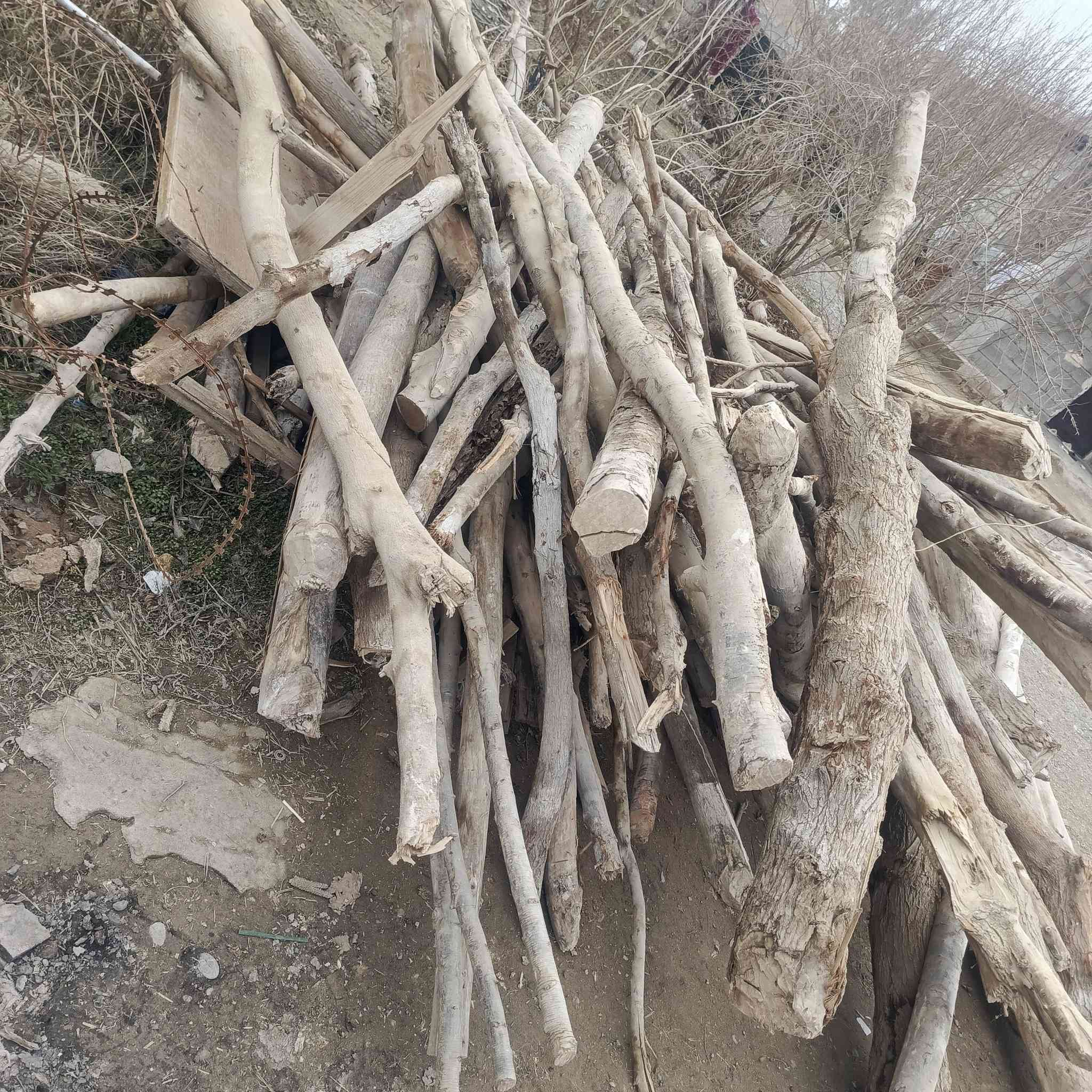 خشب للبيع بي حملين كيه
الاستفسار الاتصال على الرقم ***********
