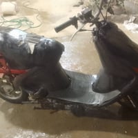 فراشة فحل • شغالة • ٢٠٠