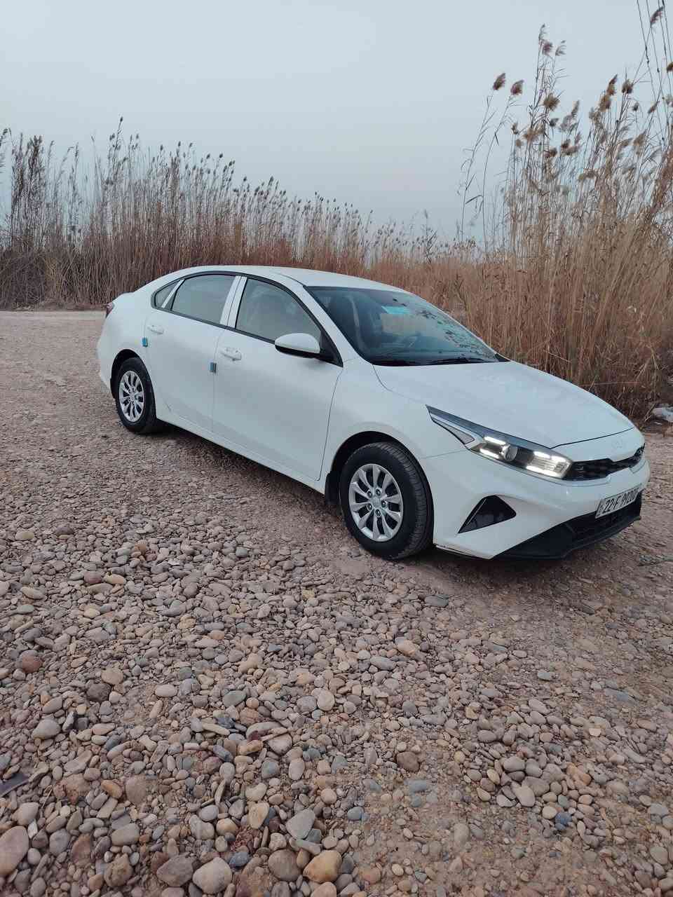 سلام عليكم
سيراتو للبيع موديل 2024

محرك 2000 دوش

داخل لونين

تبريد قطعتين

شاشه تحكم استيرن

مكفولة كفاله عامه

ماشيه 21

سياره جديد بمعنه الكلمه

رقم اربيل انكليزي تريد تحويل تريد وكاله

***********

مكاني بغداد قضاء المدائن سلمان باك

الشراي يتصل
