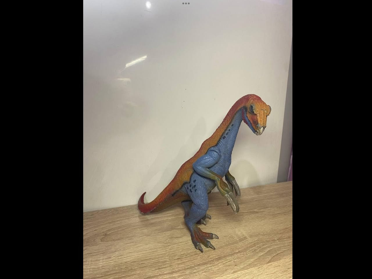 حيوانات وديناصورات اصلية
لايوجد توصيل


**إذا كنت صاحب هذا الإعلان وتريد حذفه لأي سبب، رجاءا أرسل رسالة إلى الدعم الفني**