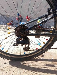 باسكل كيمو • دراجة