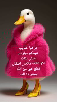 شلعة أطفال • ماركات أوروبية • ماركات خليجية