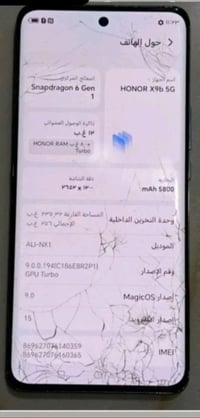 هونر X9b • سماوه • عصافير
