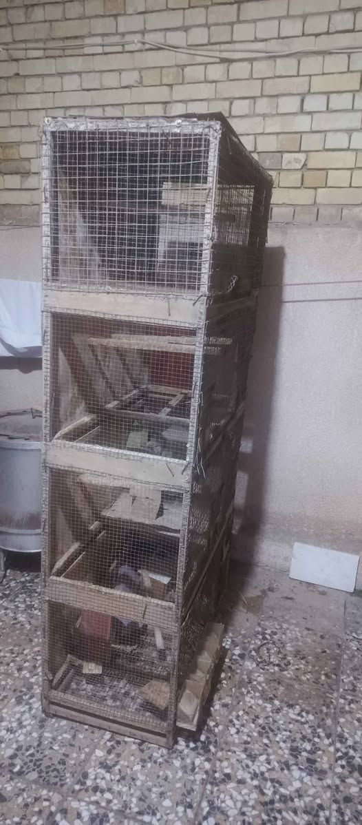 قفص للبيع ارتفاع2متر نزال50 عرض متر مكانب كربلاء حي العسكري قفله 50 الف كربلاء, العراق


**إذا كنت صاحب هذا الإعلان وتريد حذفه لأي سبب، رجاءا أرسل رسالة إلى الدعم الفني**