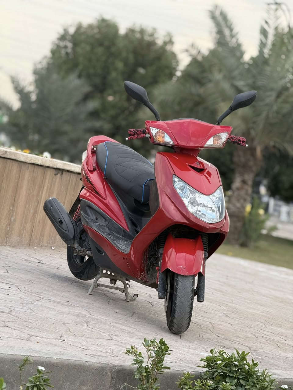 سكنس فحل ياباني نوزل سكليتر خطين قبق نفخ سناند حساس الدرجه احله من الصور مكفواله كفاله عامه من طول لطول الدرجه رمبه برغي مافتوح بيه اورقها كامله كمرك مدفوع الكفرات اصليه مو تجاري الدراجه ماشيه ٥٥ حقيقي كامله مكمله مابيه نقص مكان بغداد البياع السعر ٩٥٠ وبلخير ع ياخذها ملاحضه جيب ايفيتر يعجبك وفحص لحد متمل 
***********
