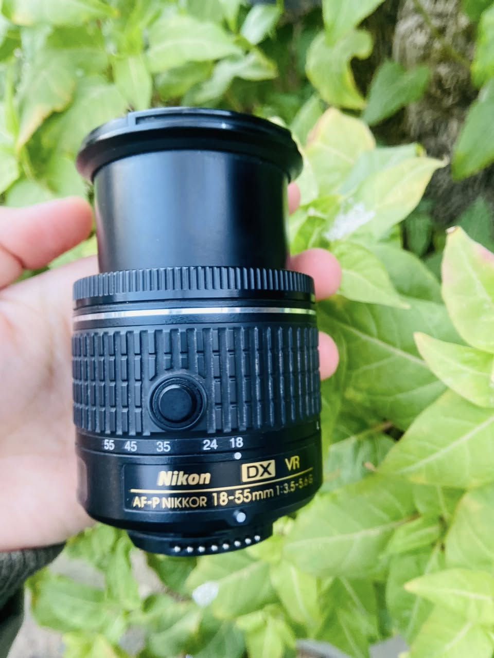 عدسه نيكون 55mm-18 
مستخدمه جداً قليل  السعر مناسب 75مع التوصيل


**إذا كنت صاحب هذا الإعلان وتريد حذفه لأي سبب، رجاءا أرسل رسالة إلى الدعم الفني**